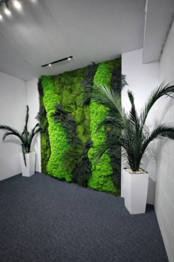 Realizacje, zielone ściany 188