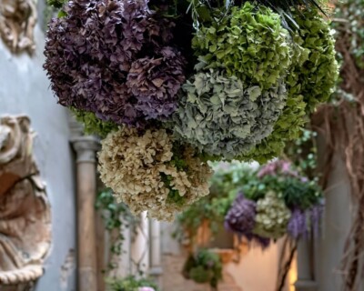 Hanging installation made of preserved moss, plants and hydrangeas